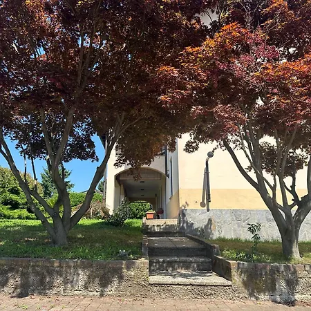 Sant'antonio 3*