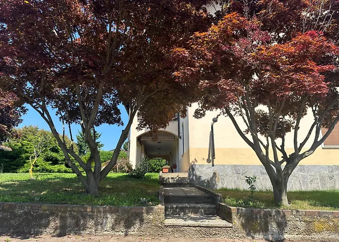 Sant'antonio 3*