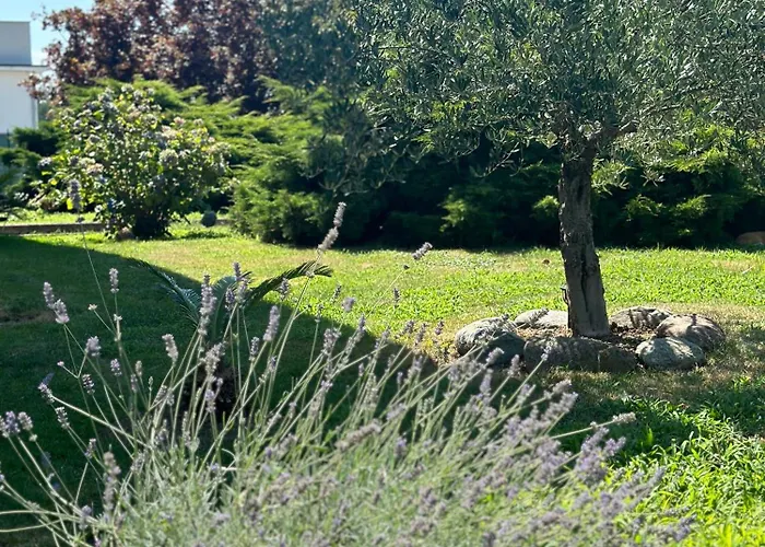 Sant'antonio Konukevi