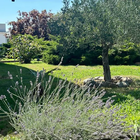 Sant'antonio Pensión