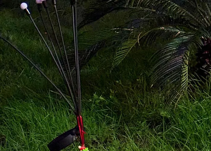 بيت ضيافة Sant'antonio